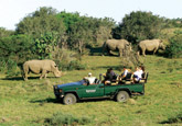 Kariega Game Reserve