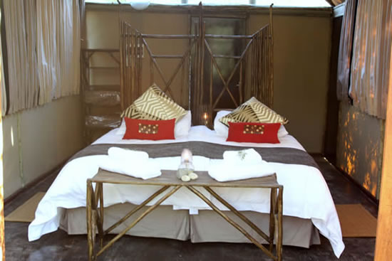 ���� �����