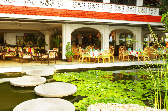 Minazi ��������