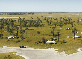 ��������, ������������