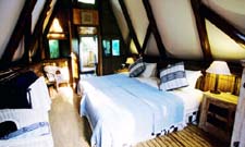 ���������� �������� ����