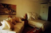 ��� ������